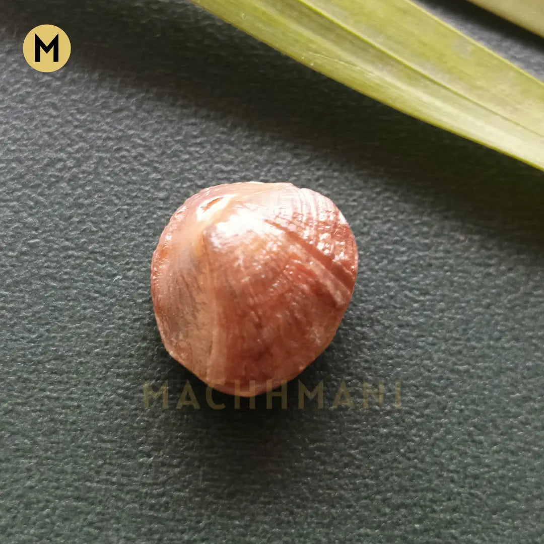 Raw Natural Machhmani Stone
