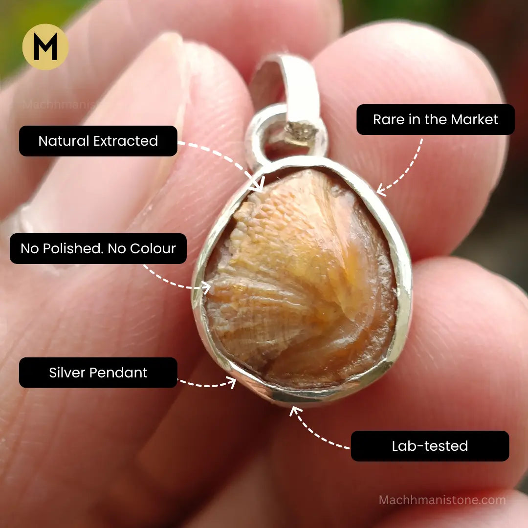 Natural Machhmani Stone in Silver Pendant | High Effective