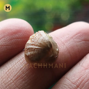 Raw Natural Machhmani Stone